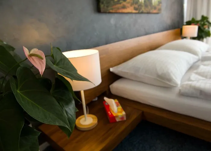 Than Alojamento de Acomodação e Pequeno-almoço 4*